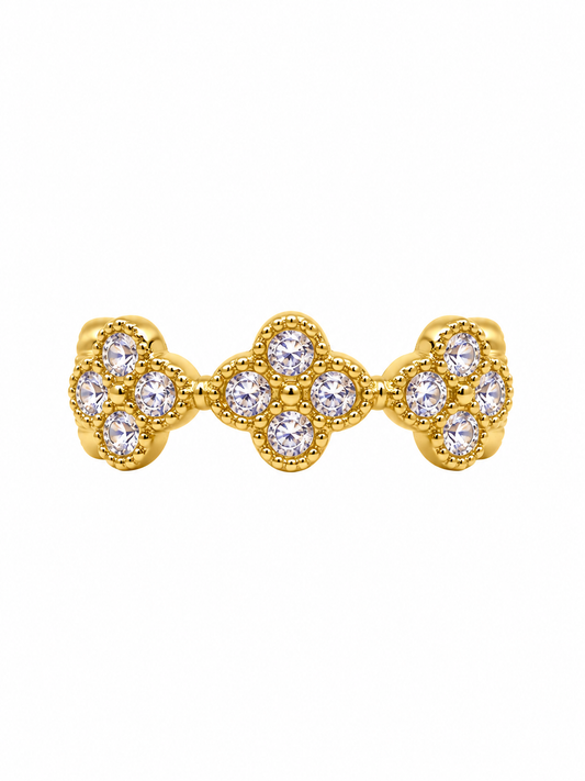 Bague en acier inoxydable "NAËLIS"