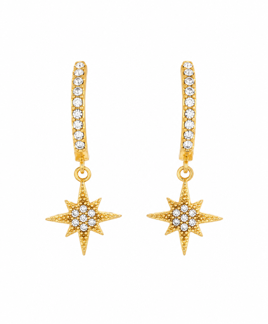 Boucles d'oreilles en acier inoxydable "ALBA"